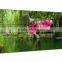 Good Quality Factory Price China Supplier Video Wall Frameless Display