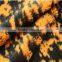 Cheap cut burnout velvet upholstery fabric