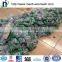 ISO9001:2000 Factory Common Nails