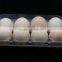 disposable plastic eggs tray 15 holes