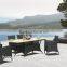Enjoy outdoor furniture rattan PE-wicker dining set