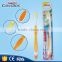 Many colour style home use import toothbrush