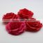 paper rose petal passed the test of BSCI