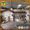 HLT Museum Exhibition Life Size Simulation Dinosaur Fossil