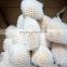 High quality fruits epe foam net equipment