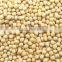 2015 CHINA yellow soybeans with high quality FOR SALE