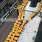 882TAB-K325 plastic table Top chains conveyor
