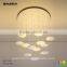 2016 newst design led chandelier / high quality ceiling lamp