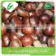 Price chinese raw wholesale frozen chestnuts