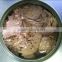 wholesale canned food canned tuna in oil
