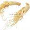 GMP Manufacturer supply Top Quality Ginseng Root Extract 80% Ginsenosides
