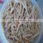 New Crop pleurotus ostreatus in brined big discount with best price