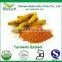 95% Curcumin Turmeric Powder