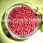 JSX long shape red moong bean High-quality first class adzuki beans