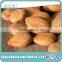 top quality raw organic apricot seeds, sweet apricot kernels for nuts and seeds company with wholesale price