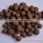 Hydroponics Expanded Clay For sale