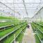 JinLong Tunnel Ventilator Greenhouse Circulation Fan