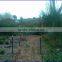 Australia star picket Y post , hot dipped star y post