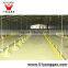 automatic drinking system broiler poultry farm equipment
