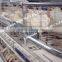 automatic chicke cage layer for poultry equipment in chiken farm