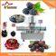 Mulberry paste making production line High Viscosity Liquid Filling Machine