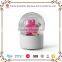 2015 Cheap Funny Plastic Snow Globe