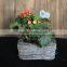Family garden flowerpot gray biodegradable square wicker basket for plant