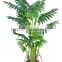 artificial bonsai tree artificial Hawaii palm tree fake taro tree