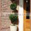 Preserved boxwood triple balls tree topiary
