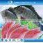 Top quality and competitive price CO treated ivp frozen tilapia fillet