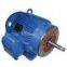 WEG Motor