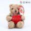 Custom Wholesale Plush Teddy Bear Toys with Heart