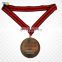 Brazil custom copper award jiu-jitsu medal with ribbon