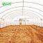 Mini Plastic Film Steel Pipe Tunnel Greenhouse