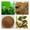 Polygonum cuspidatum extract,PLANT EXTRACT,Solvent Extraction