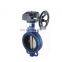 Hot Product Ductile Iron Disc Casting Pressure Size Butterfly Valve