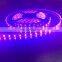 Shenzhen High Quality 5050 Led Flexible Strip Epistar 400nm uv Led Strip 5m/roll With 3 Years Warranty