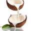 BETS QUALITY OF COCONUT MILK POWDER FROM VIET NAM