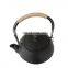 Chinese Teaware Set Instant Hot Water Kettle Black Cast Iron Teapot with Filter
