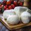 small scale mozzarella cheese production line white mould making machine