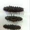 Price of dried sea cucumber