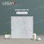 600X600mm Vitrified Ceramic Hotel Bedroom Glazed Polished Porcelain Floor Wall Tile