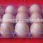 High Quality Automatic Vaccum Forming Machine,Vacuum Thermoforming Machine