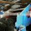 Artificial Sand making Plant Sand Dewatering Screen