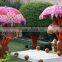 INDAIN WEDDING HENNA PARTY UMBERALAS PARASOLS