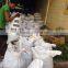 NEW HARVEST 2016 OF STICKLAC/ SHELLAC FROM VIETNAM, GOOD PRICE, HOT SALE