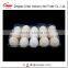 Blister clamshell plastic chicken egg tray 12 accounts