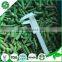 2016 Crop Iqf Frozen Green Beans
