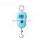 Cheap Hanging Weighing Scale With Hook