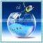 Decorative Ball Shape Fish Bowl Clear Glass Fish Bowl